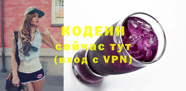МДПВ Иннополис