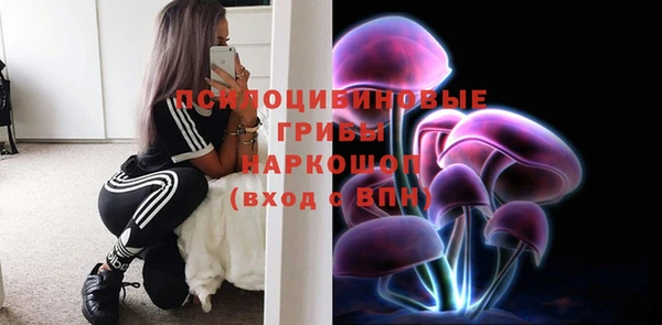 прущие крисы Инсар