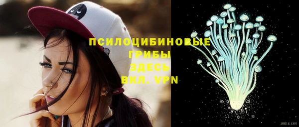 МДПВ Иннополис