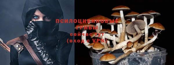 прущий лед Видное