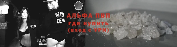 прущие крисы Инсар