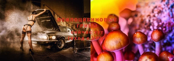 прущие крисы Инсар