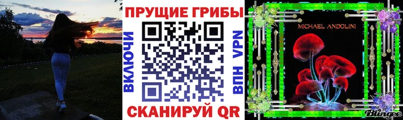 купить наркоту  Кимовск  Галлюциногенные грибы MAGIC MUSHROOMS 